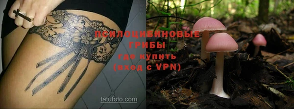 сатива Балабаново