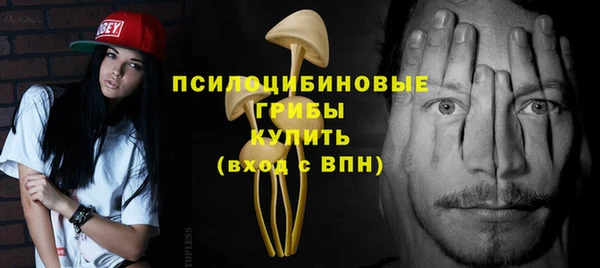 сатива Балабаново