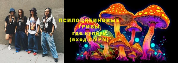 амф Балахна